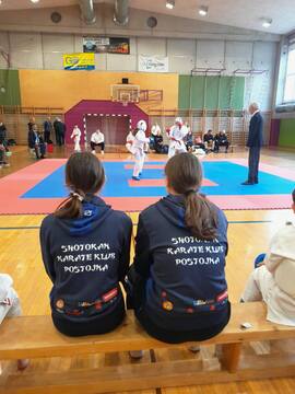 Držanje pesti za prijatelje